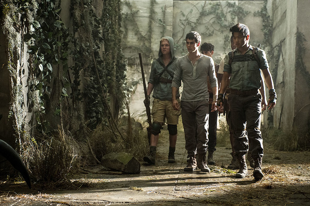 news_xlarge_mazerunner_dvd_201509_04
