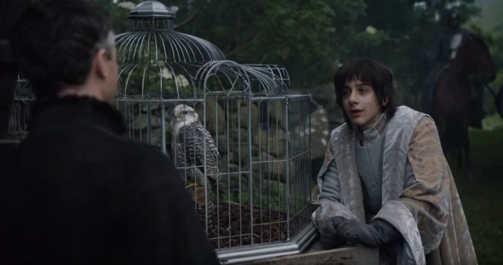 got-robin-and-his-gift-bird-from-littlefinger